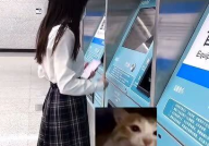 挺进地铁jk小姐姐,挺进地铁的JK小姐姐风采